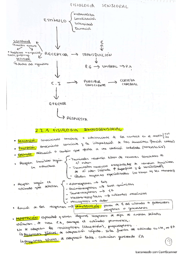 Miniatura del documento SENTIDOS-FISIO-I.pdf