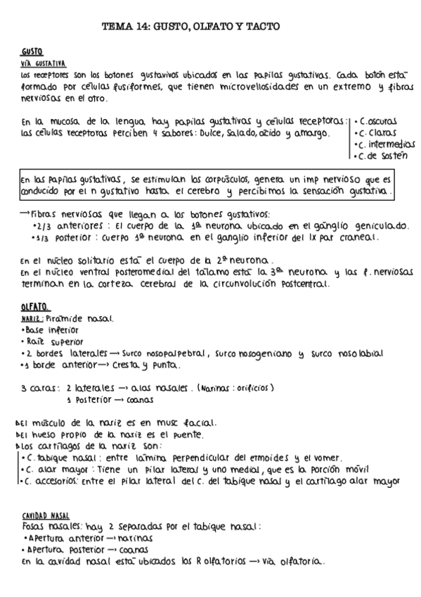 Miniatura del documento Tema-14.-Gusto-olfato-y-tacto.pdf