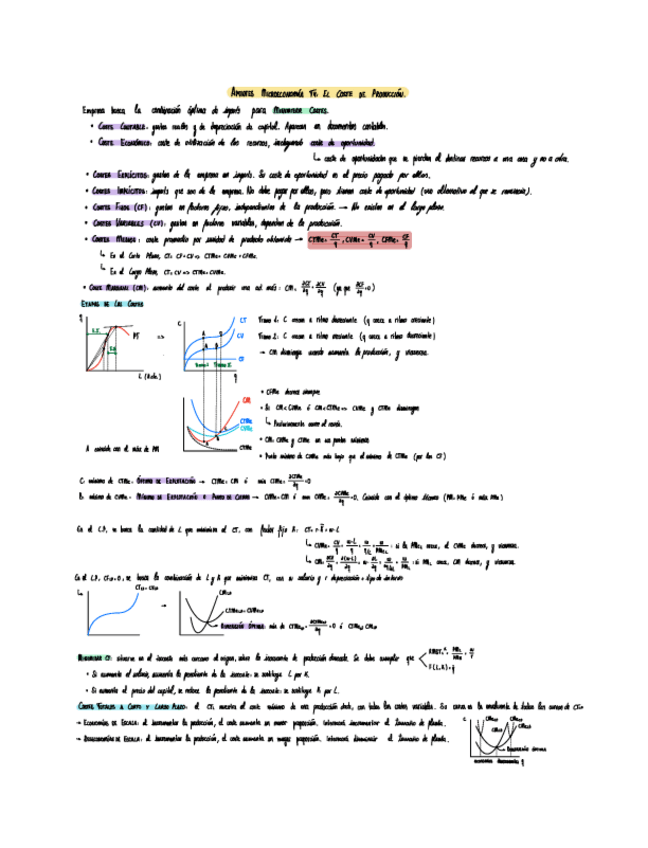 Miniatura del documento Apuntes-T4-Microec.pdf