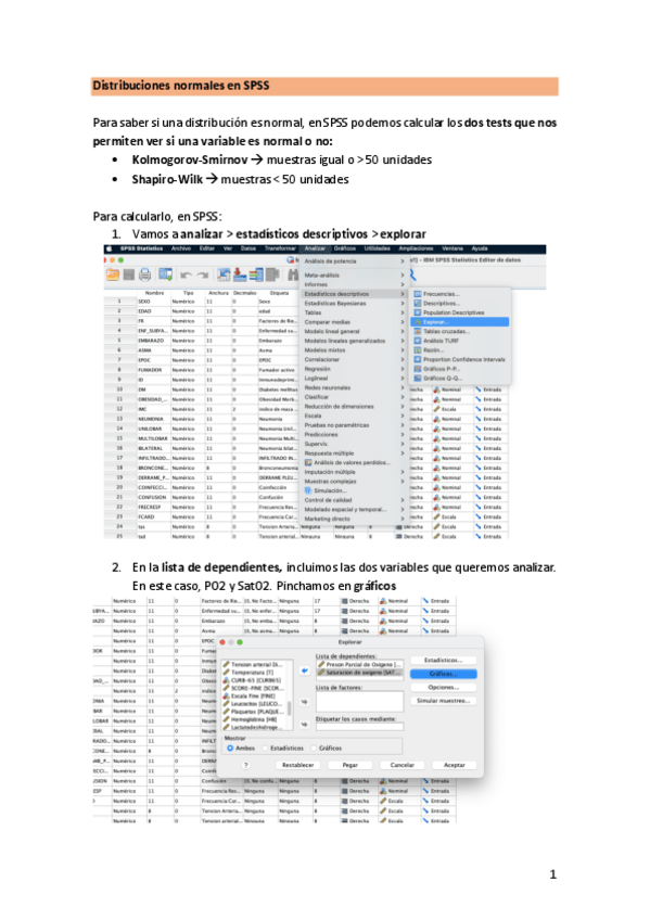 Miniatura del documento SPSSDistribucionesNormales.pdf