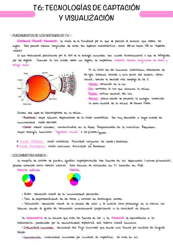 Miniatura del documento T6.pdf