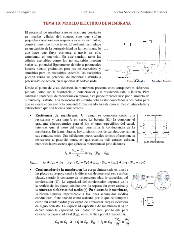 Miniatura del documento Bloque III. Excitabilidad Celular.pdf