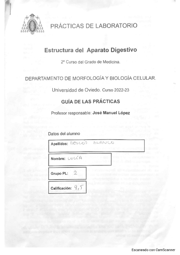Miniatura del documento cuadernillohistodiges.pdf