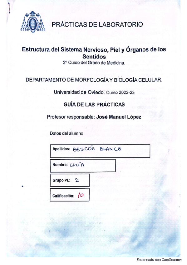 Miniatura del documento cuadenillohistonervioso.pdf