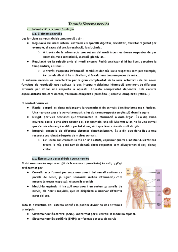Miniatura del documento tot-sistema-nervios.pdf