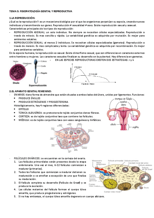 Miniatura del documento TEMA-9-FISIO.pdf