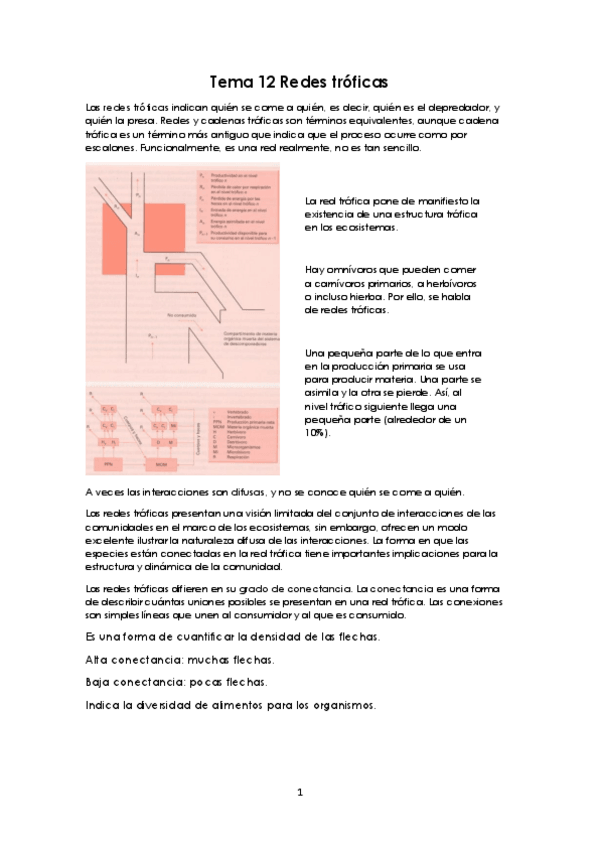 Miniatura del documento Tema-12-Redes-troficas.pdf