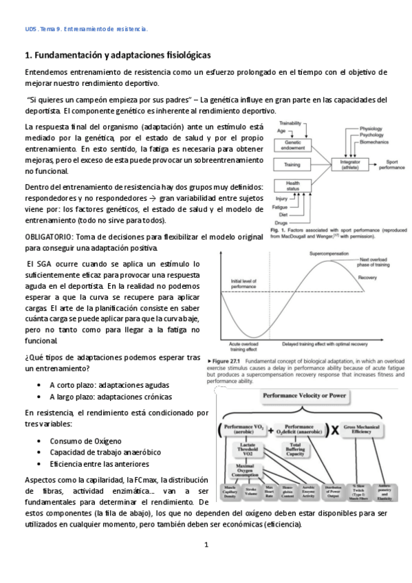 Miniatura del documento UD5.-Tema-9.-Entrenamiento-de-resistencia.pdf