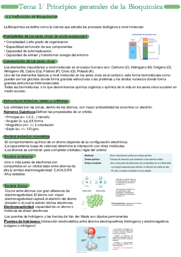 Miniatura del documento Tema-1.pdf