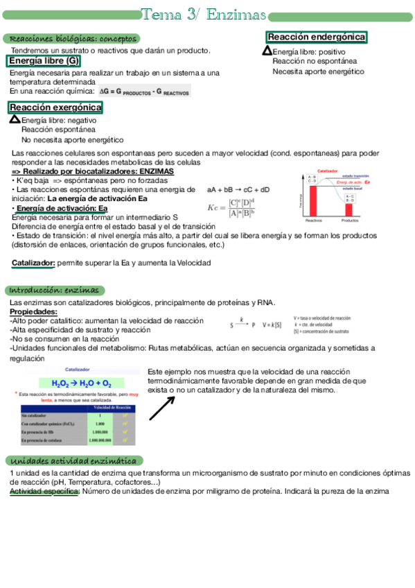 Miniatura del documento Tema-3.pdf