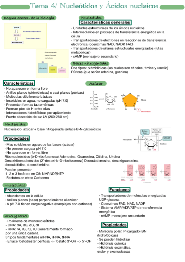 Miniatura del documento Tema-4.pdf
