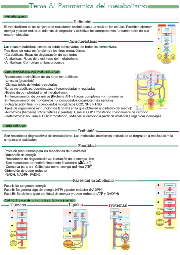 Miniatura del documento Tema-8.pdf