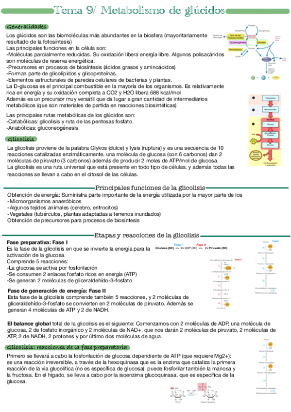 Miniatura del documento Tema-9.pdf