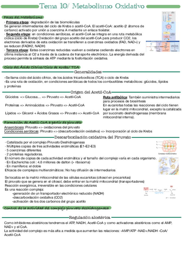 Miniatura del documento Tema-10.pdf