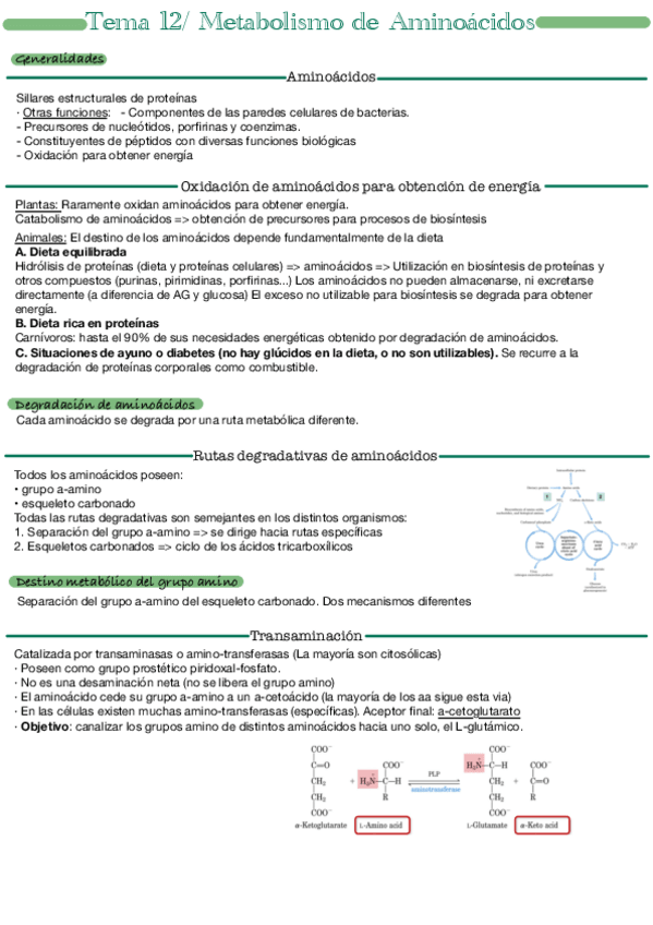 Miniatura del documento Tema-12.pdf