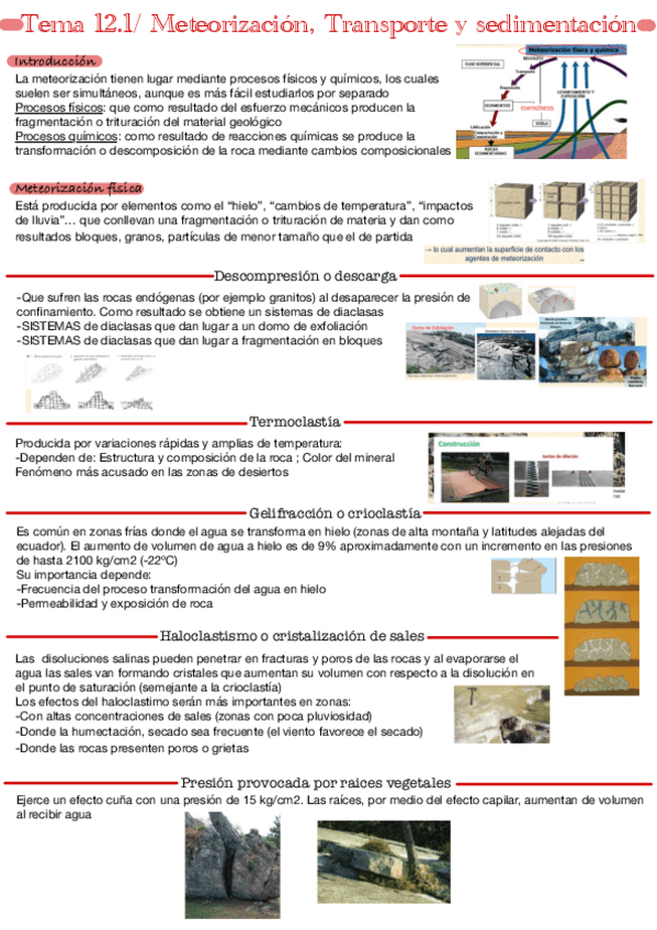 Miniatura del documento Tema-12.1.pdf