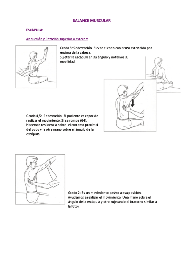 Miniatura del documento BALANCE MUSCULAR 1.pdf