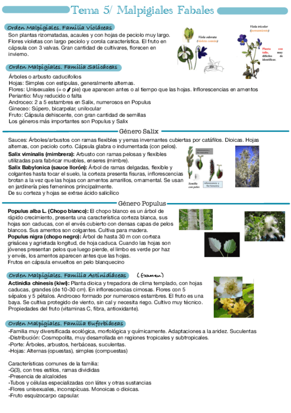 Miniatura del documento Tema-5.pdf