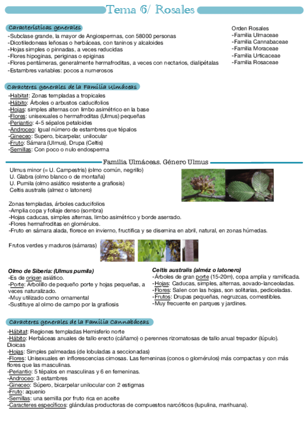 Miniatura del documento Tema-6.pdf