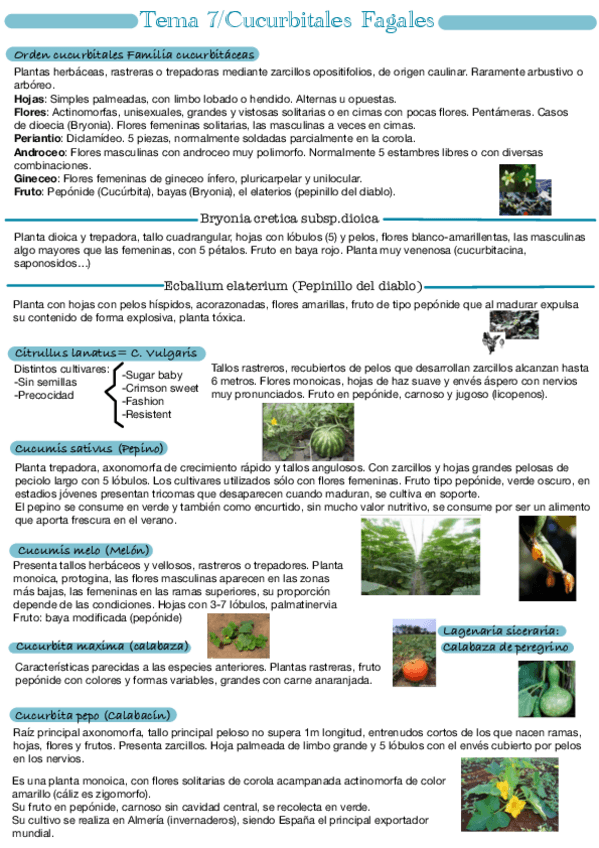 Miniatura del documento Tema-7.pdf