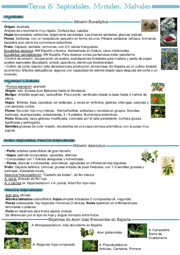 Miniatura del documento Tema-8.pdf