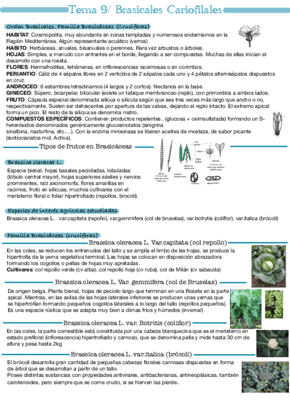 Miniatura del documento Tema-9.pdf