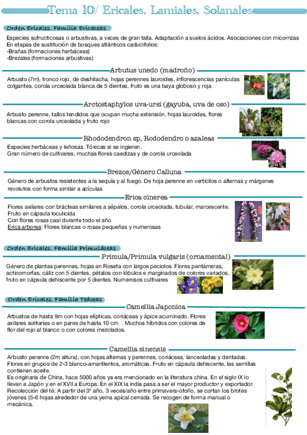 Miniatura del documento Tema-10.pdf