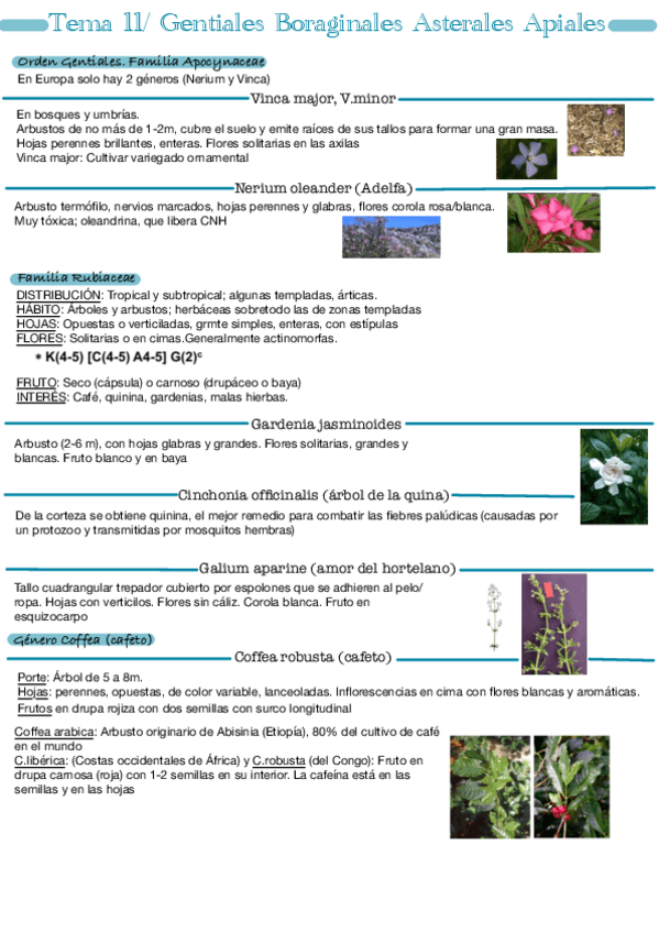 Miniatura del documento Tema-11.pdf