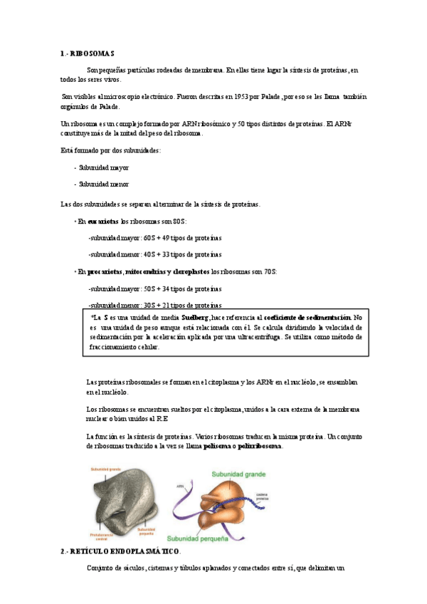 Miniatura del documento Tema-7.-Compartimentacion-celular.pdf
