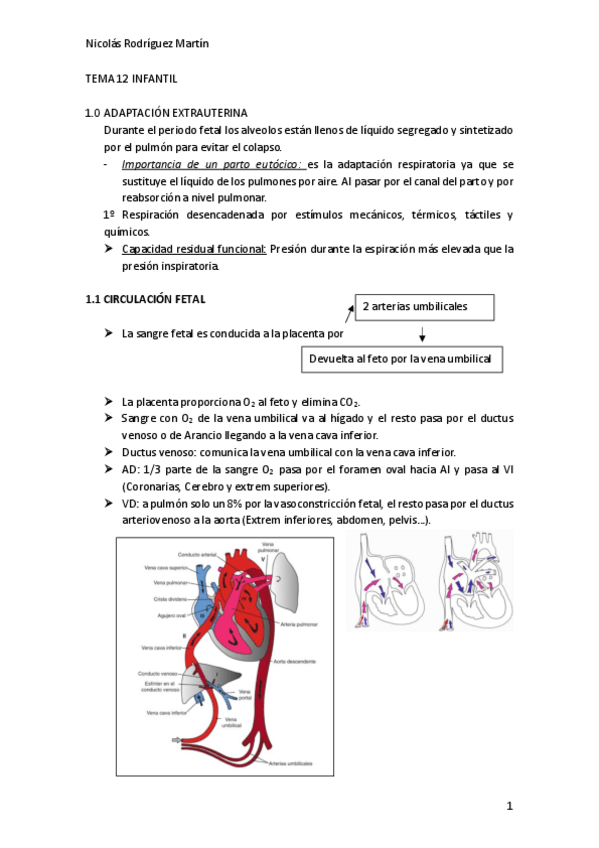 Miniatura del documento T12.-Infantil.pdf