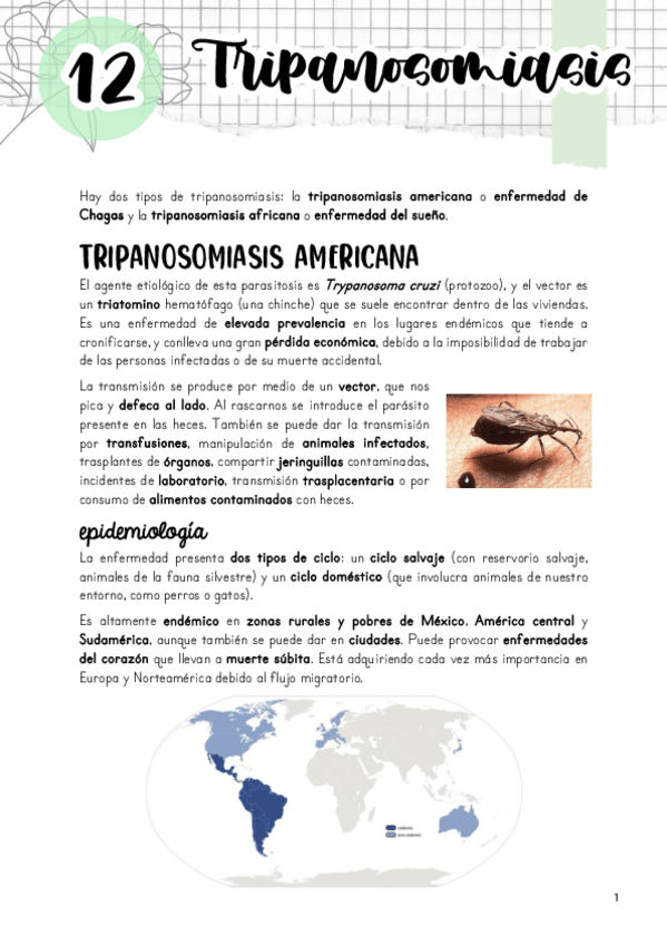 Miniatura del documento Tema-12.-Tripanosomiasis.pdf