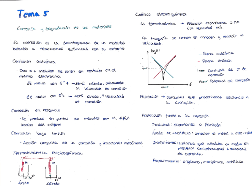 Miniatura del documento resumen-teoria-tema-5.pdf