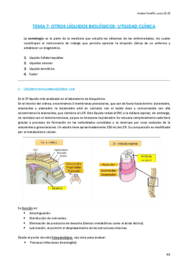Miniatura del documento Tema-7-BQclinica-AFR98.pdf