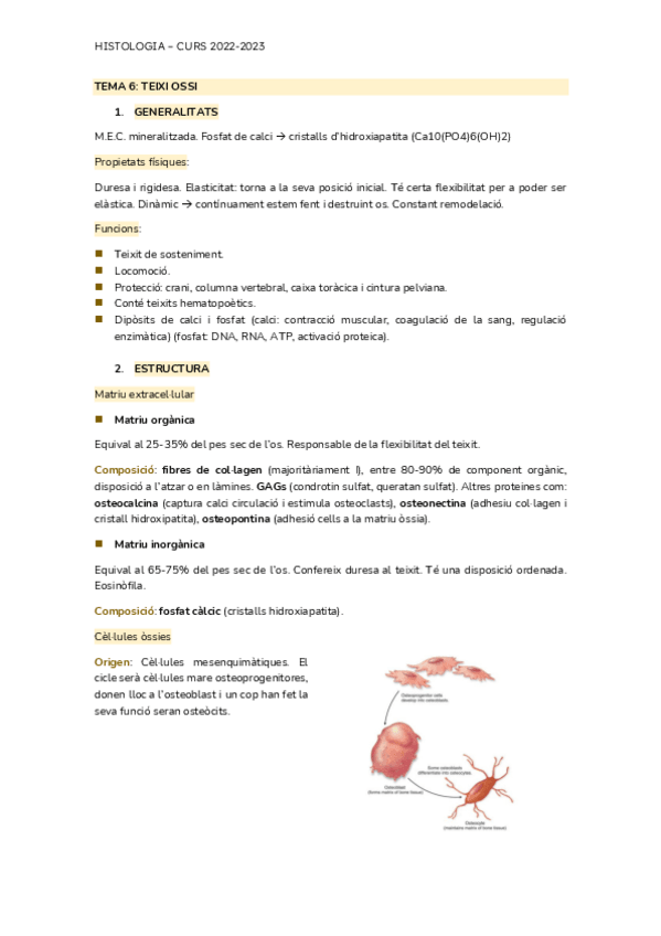 Miniatura del documento SEGON-PARCIAL.pdf