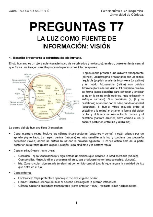 Miniatura del documento Preguntas-T7-resueltas.pdf