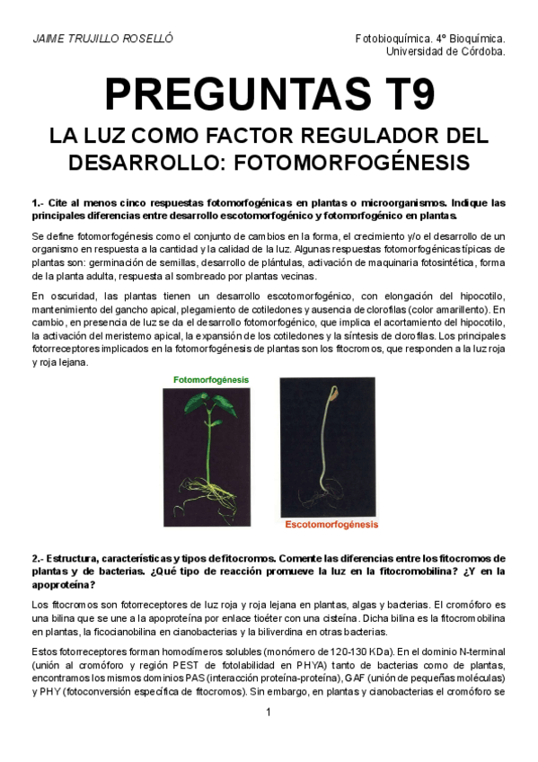 Miniatura del documento Preguntas-T9-resueltas.pdf
