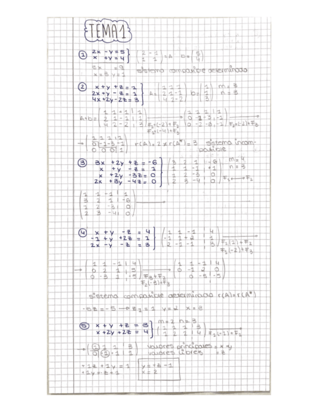 Miniatura del documento Ejercicios-por-temas.pdf