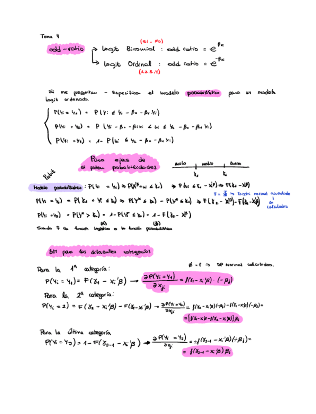 Miniatura del documento FORMULARIO.pdf