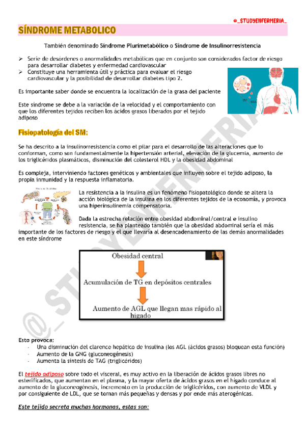 Miniatura del documento SINDROME-METABOLICO-DIETOTERAPIA.pdf