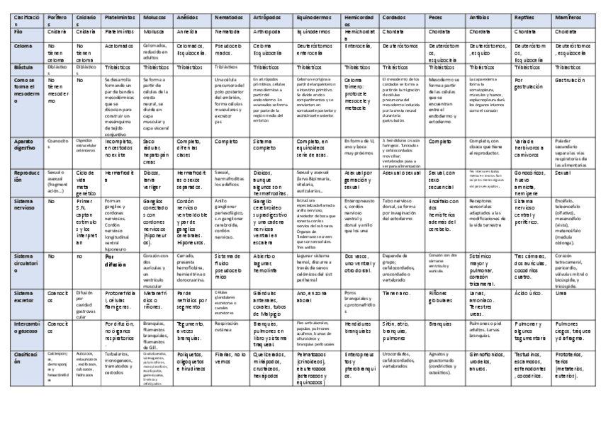Miniatura del documento Tabla-resumen-zoologia.pdf