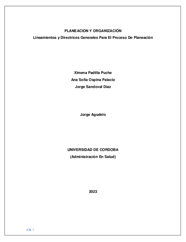 Miniatura del documento PLANEACION-Y-ORGANIZACION.pdf