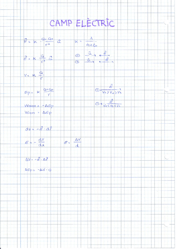 Miniatura del documento Camp elèctric.pdf