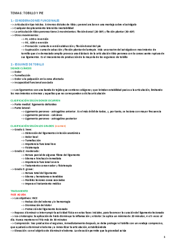 Miniatura del documento TEMA-6-FAL-II.pdf