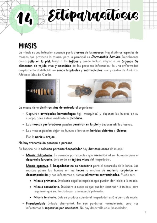 Miniatura del documento Tema-14.-Ectoparasitosis.pdf