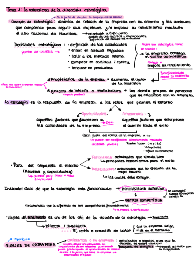 Miniatura del documento esquemas-de-direccion-estrategica.pdf