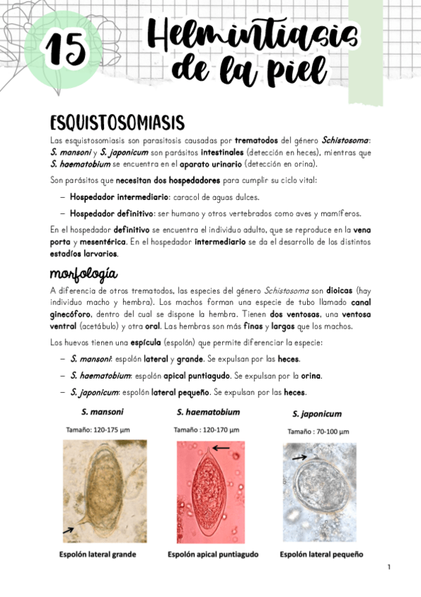 Miniatura del documento Tema-15.-Enfermedades-transmitidas-por-la-piel.pdf