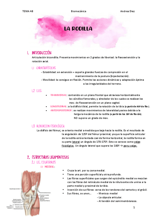 Miniatura del documento TEMA-4B-LA-RODILLA.pdf