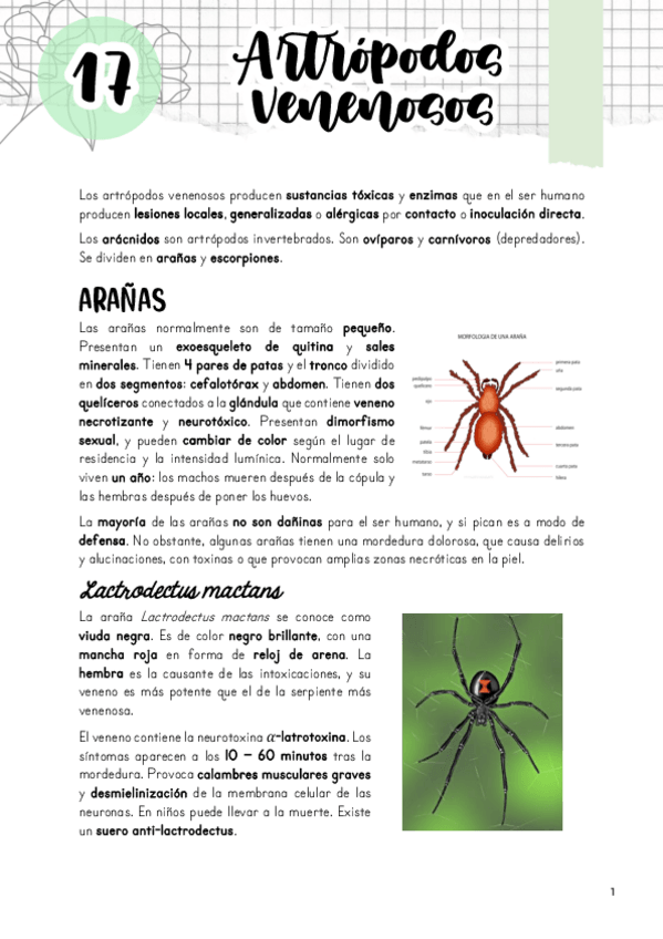 Miniatura del documento Tema-17.-Artropodos-venenosos.pdf