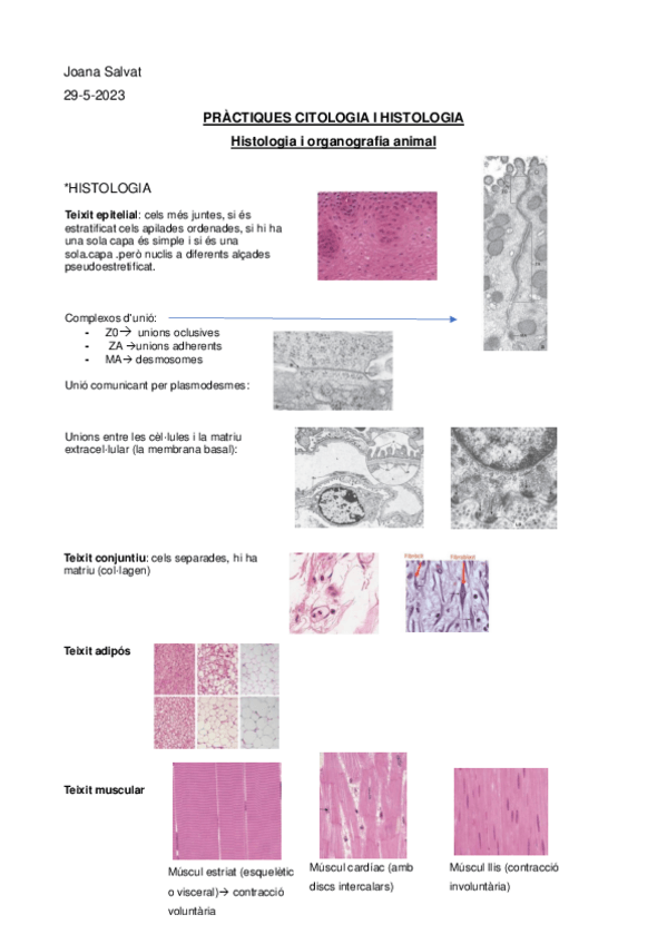 Miniatura del documento Imatges-examen-practiques-histo-animal.pdf