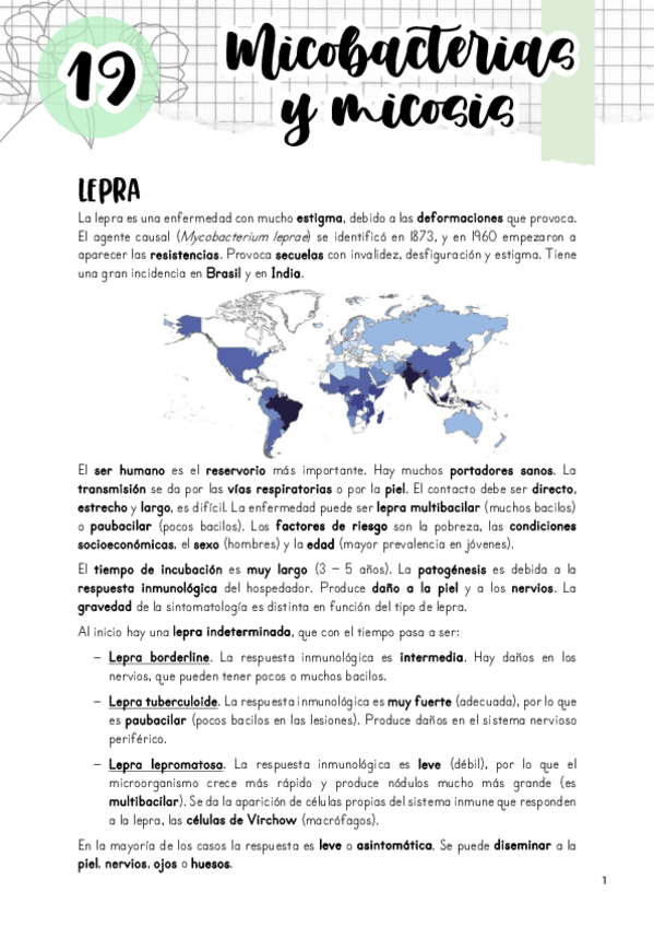 Miniatura del documento Tema-19.-Micobacterias-y-micosis.pdf